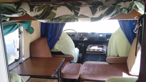 VanNino – A unique experience and a dive into the past? VanNino!