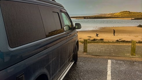 Bamboo Buck – Hashtagcampeurs 