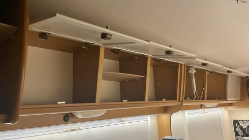 Molly – Molly (spacious and heated!)
