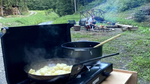 ons busje – 2p Ford bus uit 2015