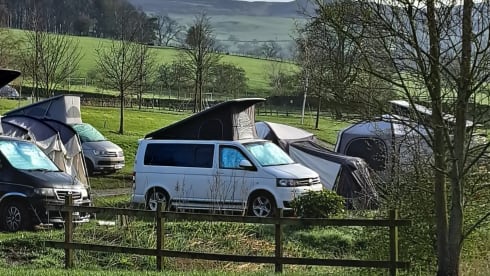 Transporter-Saurus-Rex – Transporter-Saurus-Rex... a 4 berth Volkswagen campervan from 2010