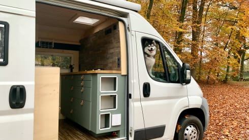 Monti – On an adventure with our converted camper bus!