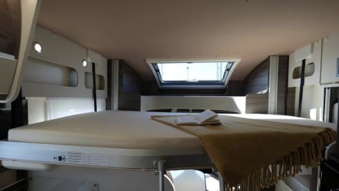 Brand new Ford McLouis Carat 473 Automatic | 2025 | 5 persons