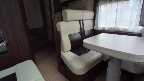 4p Benimar Cocoon uit 2017