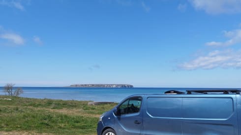 Ria – 2p Fiat campervan uit 2017