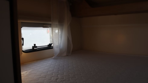 Équipe de roller 6p Alcove de 2018