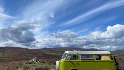 Putu – Volkswagen T2 from 1977, perfect condition