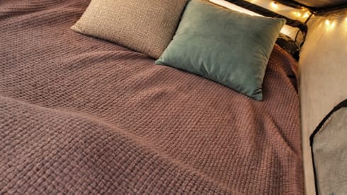 Riley – 🚐 Cozy 4-Berth VW Camper