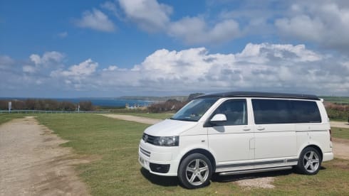 Transporter-Saurus-Rex – Transporter-Saurus-Rex... a 4 berth Volkswagen campervan from 2010