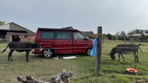 4p Volkswagen campervan from 2014