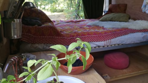 Lakshmi – Rêve d'infiltration Renault Master couvreur