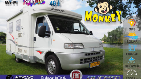 Monky –  Fiat Moncayo semi-integrated from 2002 including TV and 4G internet