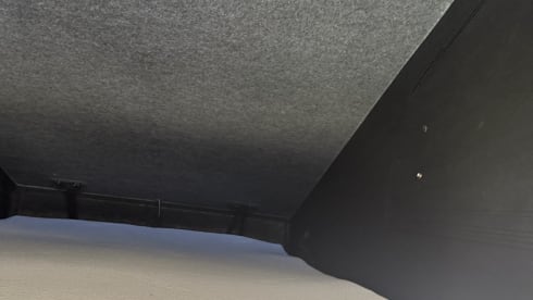 Dave  – 4 berth Volkswagen campervan from 2020
