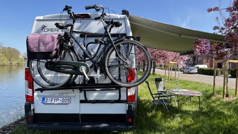 Dreamer – 3p Fiat bus from 2023