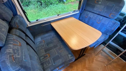 Bluebell – Fun, Versatile and Reliable