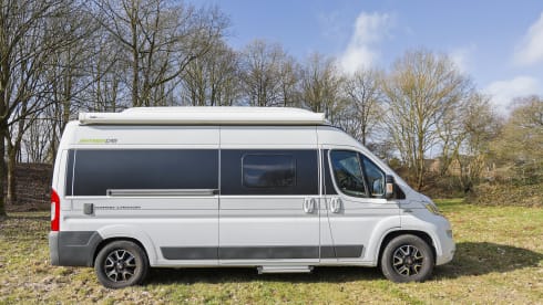 Autobus Hymer a 4 posti del 2017