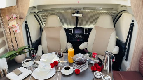 2. DelPi – Luxury mobile home Bürstner Delfin Harmony T726