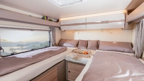 Elina – Ahorn Canada AE