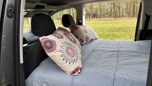 Zermatt – Ford Tourneo