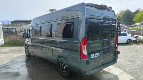 Living Stone 2 – LAIKA Ecovip 300