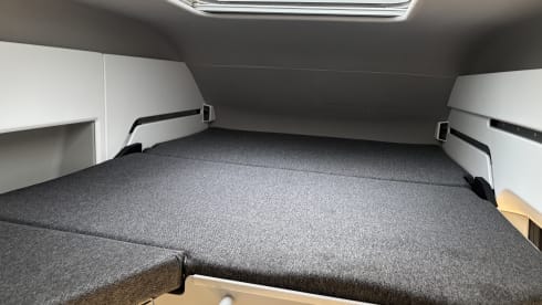 Grote beer – 4p Volkswagen campervan from 2022