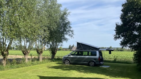 The Smiling Van – Volkswagen California Ocean 4-motion (2023) - Automatik