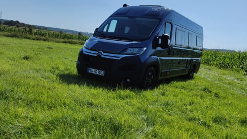 Großer Premium Hannes – Hannes Camper - Large Hannes Camper