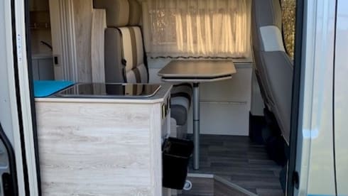 Peugeot Bravia Swan Trend 2022