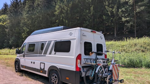 Bingo – 4p Carado bus from 2025