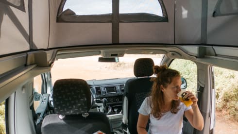 Baroudeur California – VW California T6.1 (Grenoble)