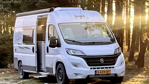 2p McLouis bus from 2020
