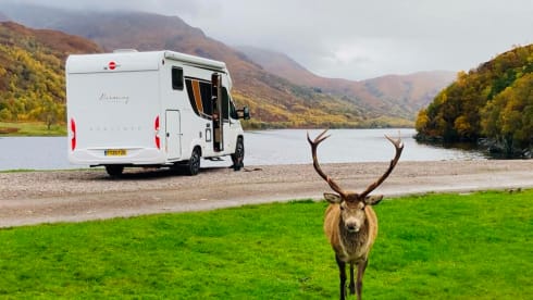 Ibex I – FZE - Our Burstner 4 berth Executive Motorhome