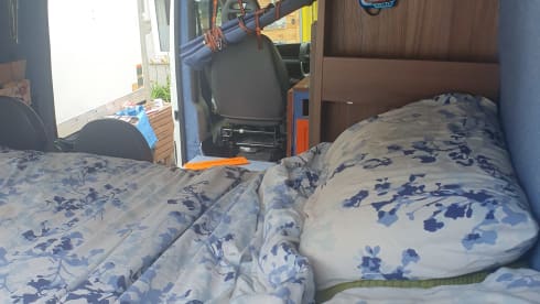 Bruce – Bruce 4birth vom Stromnetz getrennt 