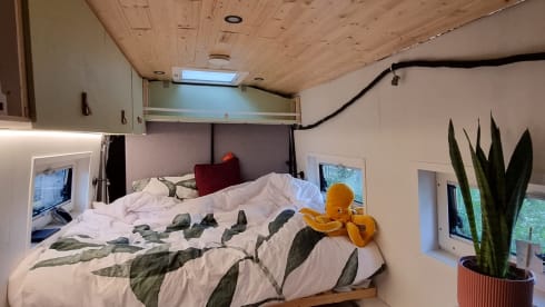 EsteVan – Freedom and comfort with our self-build dream