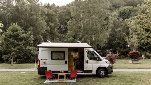 Roadturtle – Bus camper Peugeot for the ultimate holiday