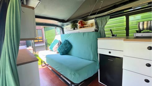 Pumba – p Volkswagen camper del 2008