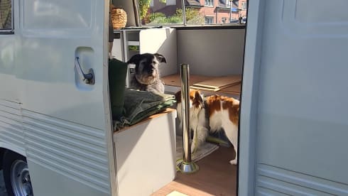 Jeetje – French Peugeot J7 oldtimer campervan 1974