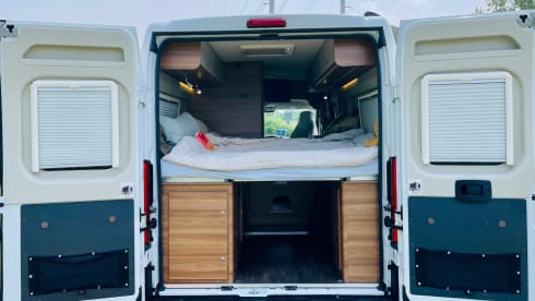 Tourer 6.4 – 2p Carado bus from 2019