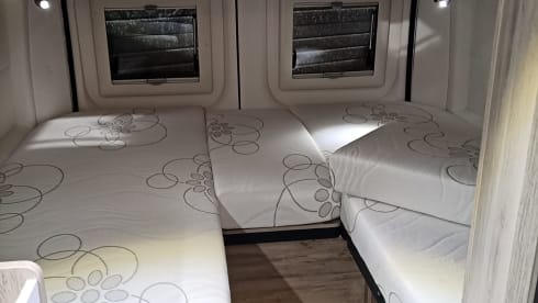 Brand new 3p Peugeot Bravia busCamper from 2023