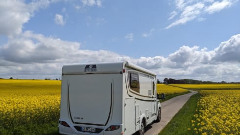 Etrusco – 2p Laika semi-integrated uit 2021