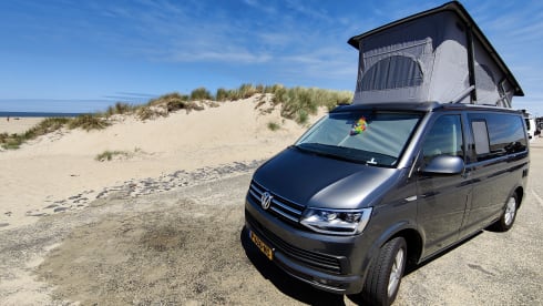 Déesse – VWCalifornia Ocean