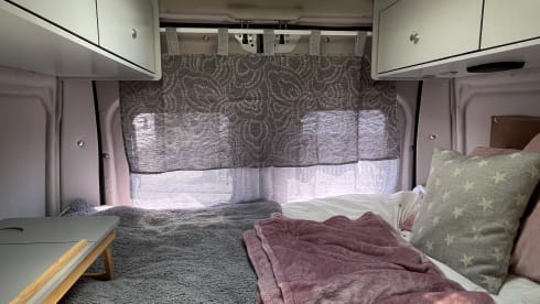 GINNY – small but has everything