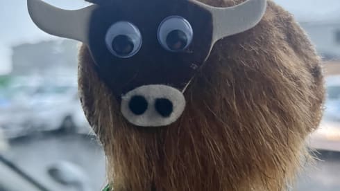 Shelby – super cosy  - automatic campervan. price  includes insurance !