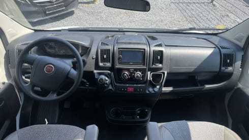 Carado T447