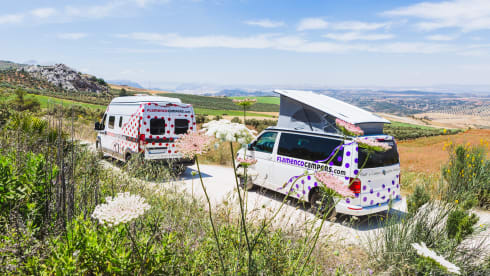 "CARMELA" VW T6 CALI BEACH CAMPER – Flamenco Campers, Rent a camper, explore Andalusia.