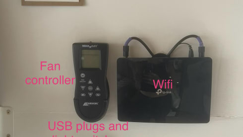 Rita – Rita the Boxer