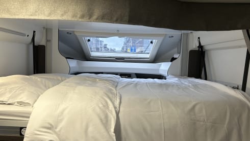 5p Benimar semi-integrated from 2023