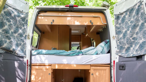 Jimmy – 2p Fiat bus from 2006