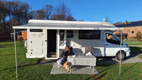 Jenny – 4p Roller Team semi-integrated from 2022