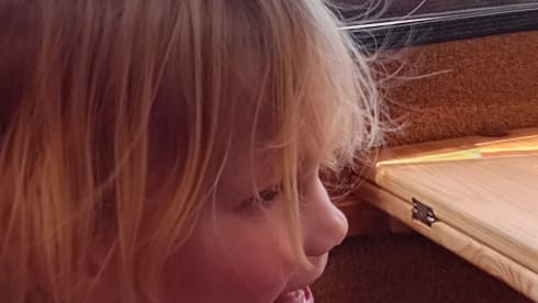 Globetrotter – 4p Dethleffs alcove uit 1993